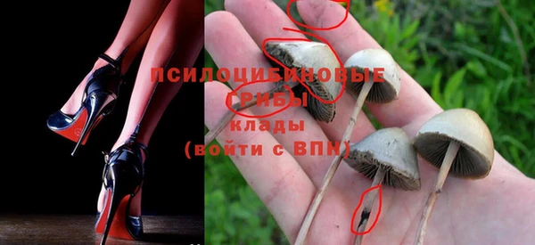 круглые Сатка