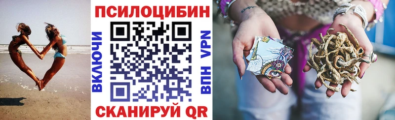 где купить наркотик Темников блэк спрут сайт Галлюциногенные грибы GOLDEN TEACHER