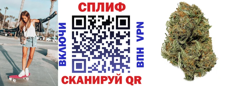 Бошки марихуана план  Темников 